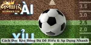 cách đọc kèo bóng đá dễ hiểu